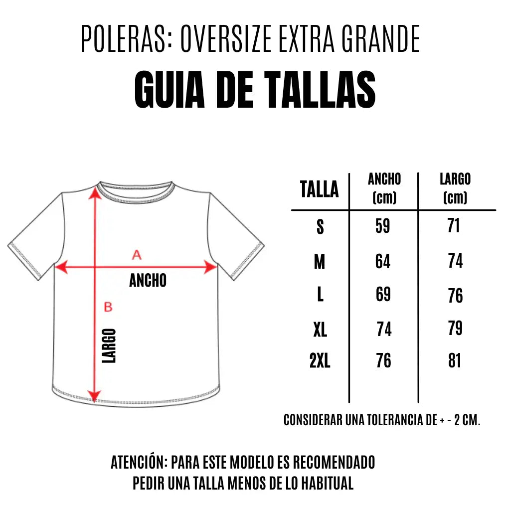 Polera Oversize (EXTRA HEAVY WEIGHT) - Beige